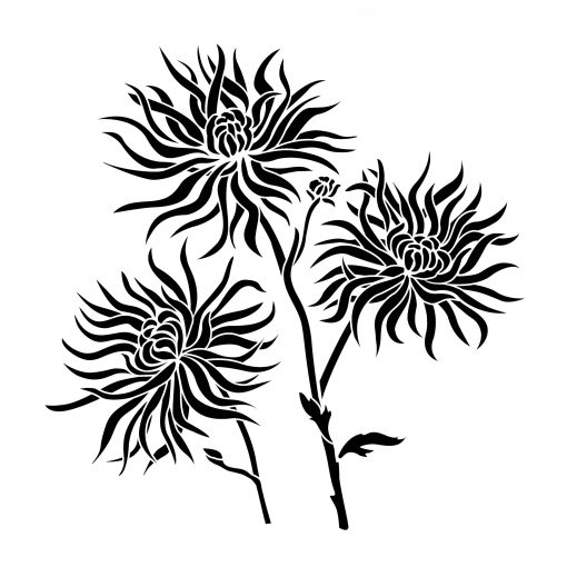 Chrysanthemums - Artisan Enhancements
