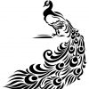 Peacock Stencil - Artisan Enhancements